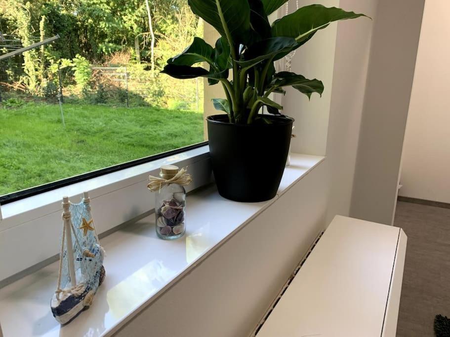Entspannen Am Grossen Goitzschesee Inkl. Netflix Holzweissig Extérieur photo